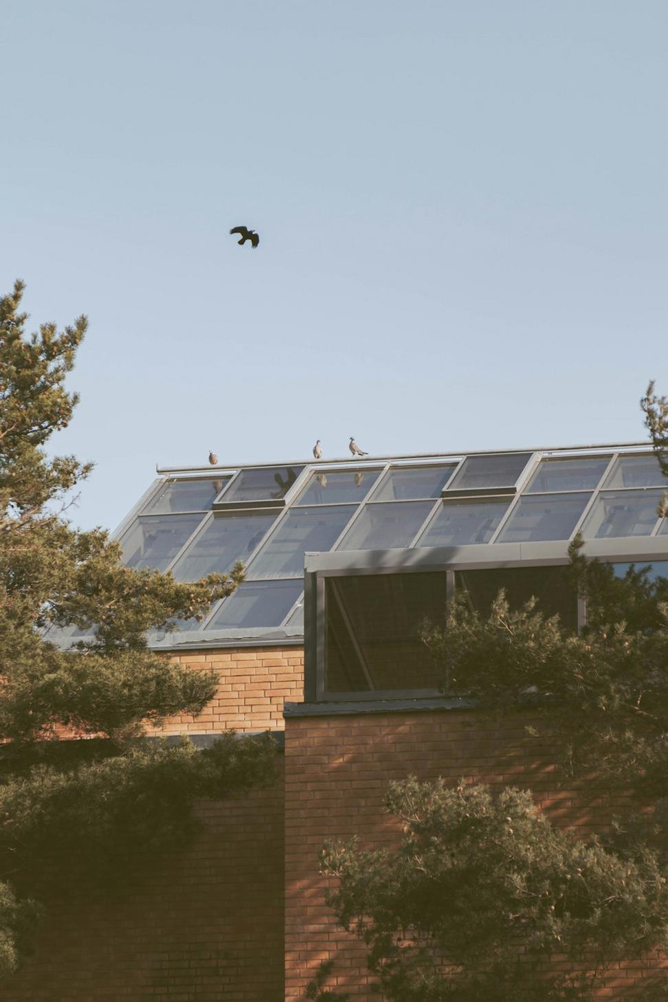 Rosedale Passive House